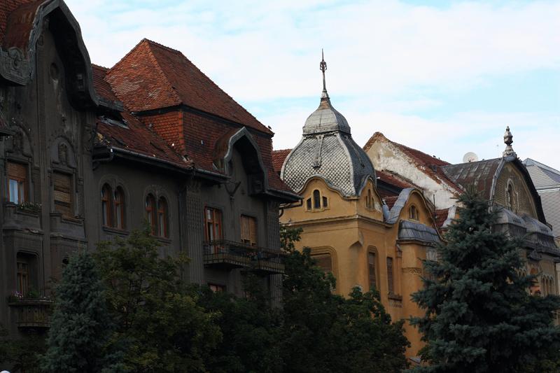 46-Timisoara,2 agosto 2011.JPG